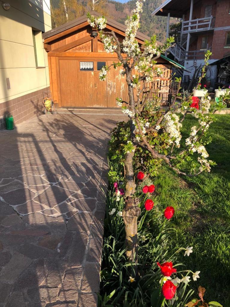 Appartamento Luminoso, Giardino, Vista Dolomiti. Baselga di Pine Exterior photo
